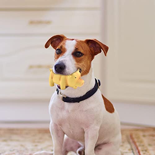 WOTEG Giocattoli per cani maiale cigolante |