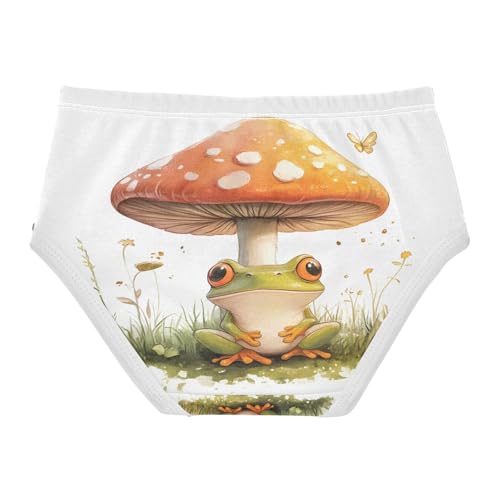 Cute Frog Mushroom Toddler Girls's Underwear 2T 202b89592
