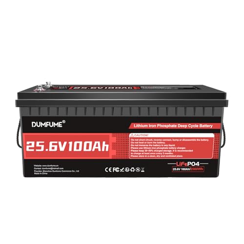 Dumfume 24V 100Ah LiFePO4 Lithium Battery, Built-in 100A BMS, 2560W 15000+ Cycles,Low-Temp...