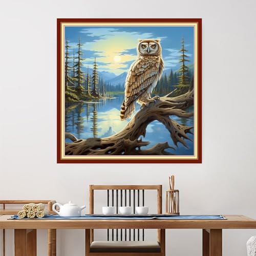 Image of Foxdiviy Stamped Cross Stitch Kits for Beginners Full Range of Cross Stitching 11 CT Printed Cross Stitch Kits for Adults Cross Stitch Patterns Needlepoint Kits-Owl Scenery 18x18 inch