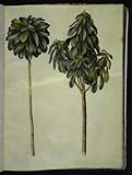 ZHAOSHAN