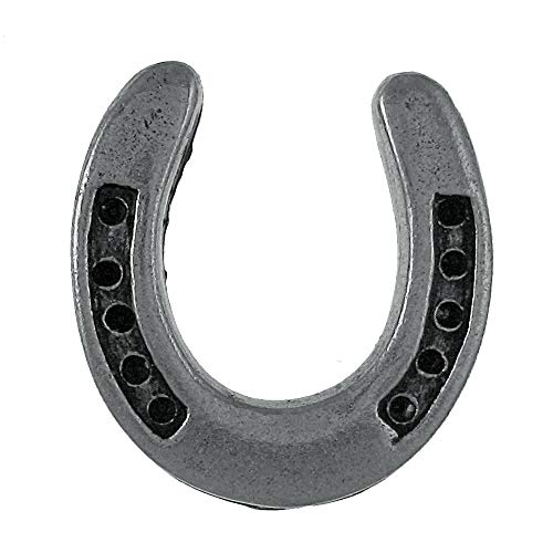 Jim Clift Design Horseshoe Lapel Pin - 1 Count