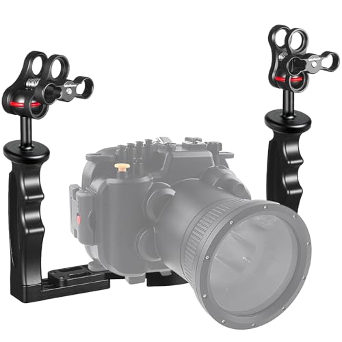 MINIFOCUS Tray
