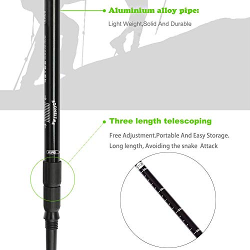 V-CHEETONG Schlangenhaken, Reptilien, Maisschlange, Kugel, Python, Klapperschlange, Handhabungswerkzeug zum Fangen, Kontrollieren oder Bewegen von Schlangen, ausziehbar (53inch Hook)