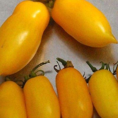 Banana Legs Tomato Seeds - Long Golden Yellow Sausage-Shaped Fruits