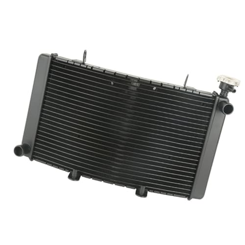 Refroidisseur de radiateur de remplacement pour moto Benelli Trek 899 alu