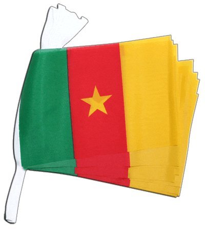 Guirlande drapeau Cameroun pour soirées à thème et matchs de foot