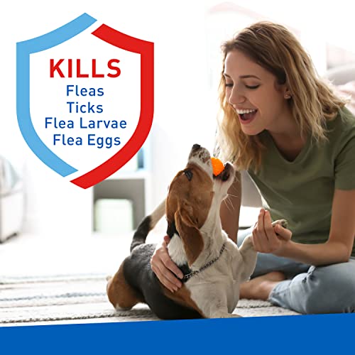Farnam 100546732 Adams Plus Carpet Powder, Kills Fleas And Ticks thumb #2
