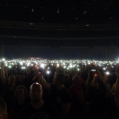 Smell The Vinyl Amazon.in Books