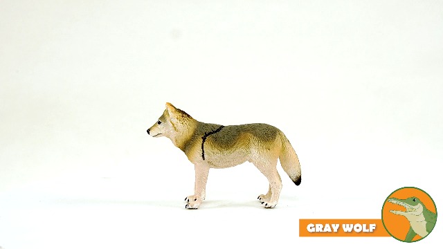 Wolfy さま Amazon.com: Safari Ltd. Gray Wolf Figurine - Detailed 3.75