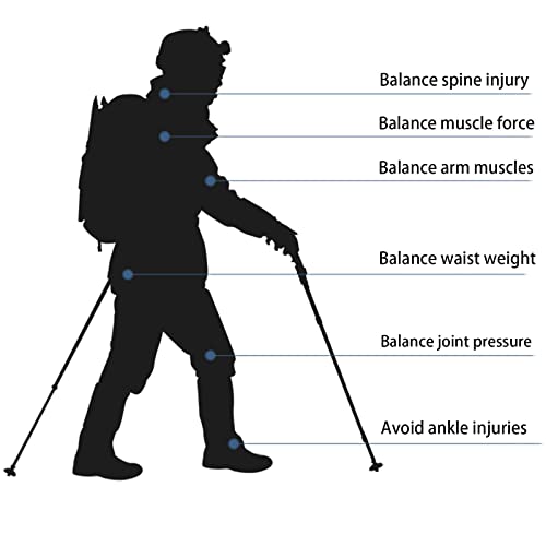 LeapBeast Bastoni Trekking,Bastoncini telescopici
