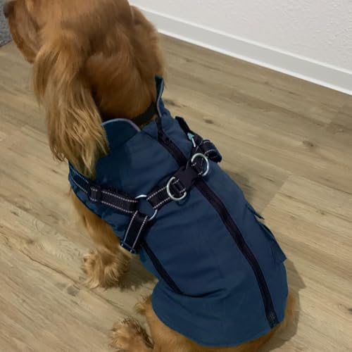 Woiil Hundemantel Hundejacke Wintermantel für Kleine Hunde, Hundemantel Winter mit Geschirr, Hunde Wintermantel Ärmellose Baumwolle Gepolsterte Weste Wasserdicht Warme Reflektierend, Navyblau S