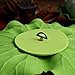 Vosarea 6pcs Artificial Water Lilies Lotus Simulation Pond Plants Floating Flowers Pond Decor Ornaments - White