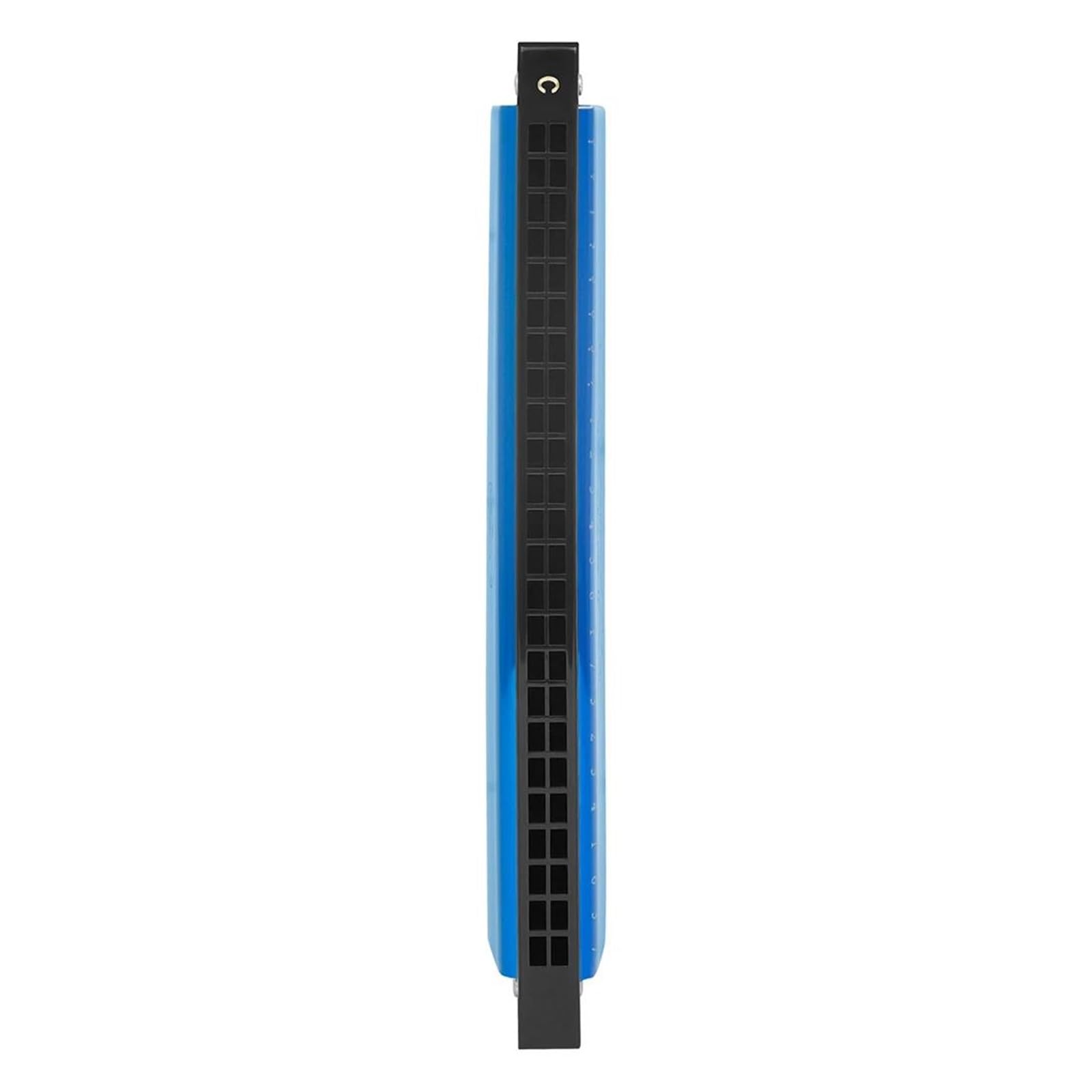 Armonica Armonica A Bocca Professionale In Do A 24 Fori Strumento Musicale In Resina ABS Con