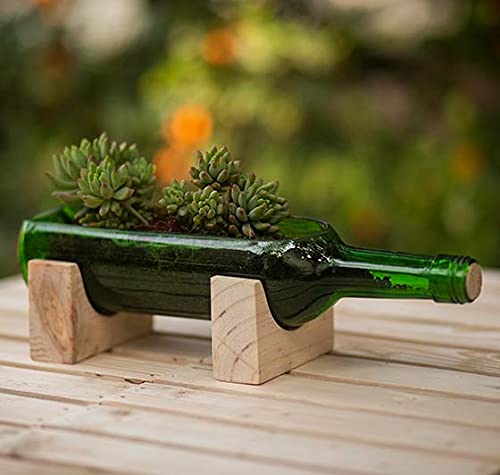 Kavi Upcycled Glass Bottle Planter, Eco Gift, Reclaimed Bottles Transformed into Environment Friendly planters, Flower Pot, planters, Bottle Planter, Home Decor (Beige) (B097HGXSCW) Amazon Price History, Amazon Price Tracker