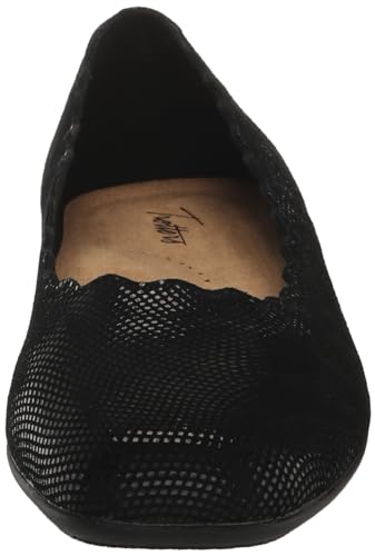 Image of Trotters Sabine