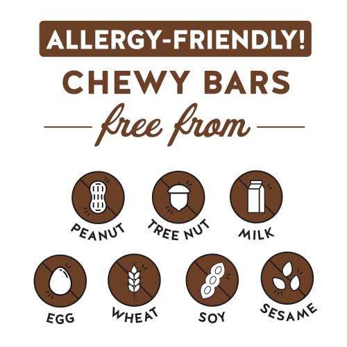 Blake’s Seed Based Chewy Granola Bars — Chocolate Chip (24 Count), Vegan, Gluten Free, Nut Free & Dairy Free, Healthy Snacks For Kids Or Adults, School Safe, Low Calorie Soy Free Snack #TOP2