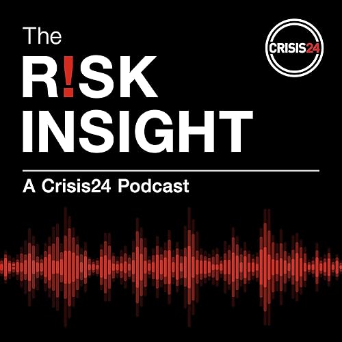 The Risk Insight cover art