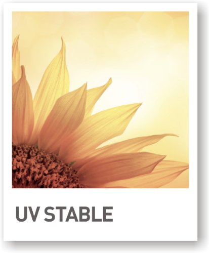 Ivyline Artstone Vaso da Fiori, per Piante Claire
