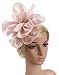 EEVASS Mujer Malla Tocado Elegante flor Fascinator Boda Headwear Sombrero (# Desnudo...