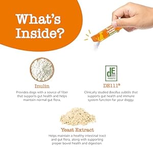 Zesty paws probiotic powder meal topper for digestive immune system support premium de111 probiotic for healthy canine gut flora inulin fiber yeast extract pumpkin flavor 30 ct  urban country home decor