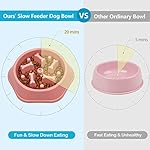 UPSKY Slow Feeder Dog Puzzle Bowl, Interactive Bloat Stop Non-Slide Lick Treat Bowl for Small Medium Dogs (Pink) - Image 5