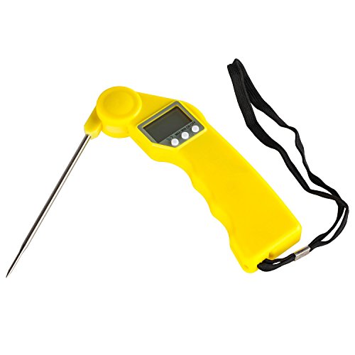 ALL-PRO Folding Design Digital Thermometer