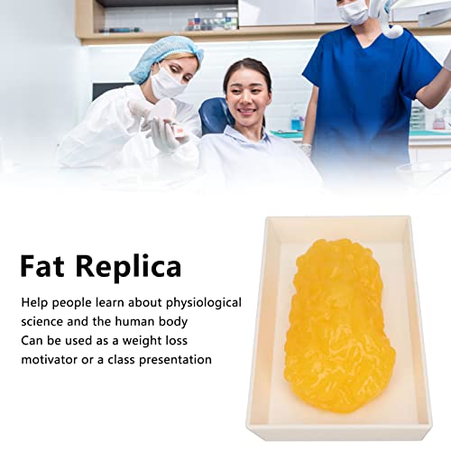 Image of Fat Replica 1lb,Human Body Fat Replica Fat Model,Human Fatty Tissue Demonstration Model for Nutritionist Science Course,Accurate Feel and Appearance of 1 Pound of Fat