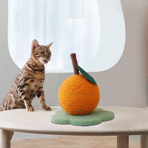 Jouet de grattage pour chat d'appartement idéal dans le salon