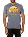 Disney Lion King Men's T-Shirt, Charcoal Heather, XX-Large