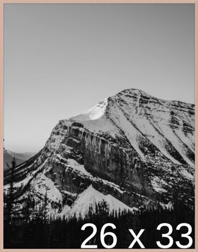 Frame It Easy 26 x 33 Rose Gold Metal Frame (Ashford)