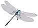 ERRO Libelle blau, groß - Insektenmagnet, Tiermagnet, Dekomagnet, Sammelmagnet, ca 14 cm