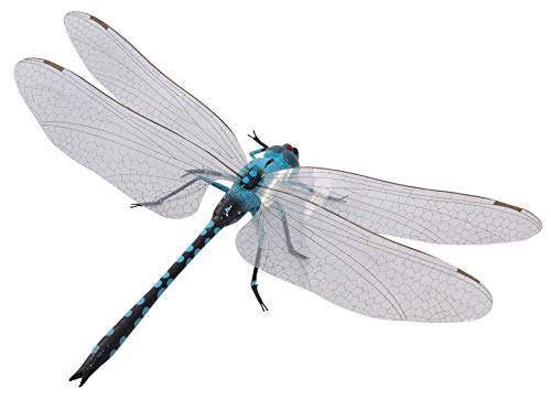 Libelle blau, groß - Insektenmagnet mit starkem Magnet. Das Original mit ERRO Sticker und in bester Qualität von ERRO. Insektenmagnet, Tiermagnet, Dekomagnet, Sammelmagnet, ca 14 cm