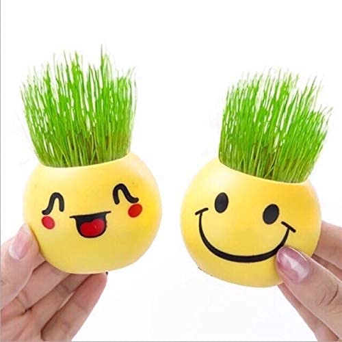 Image of Amazon Brand - Cute Smiley Face Flower Pot Planter for Home & Office Desk | Plastic Yellow Plant Pot for Indoor Plants, Balcony & Garden Decor | Multipurpose Holder for Stationery | Pack of 8