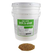 Organic Hulled Oat Groats - 30 Lbs - Oats - Hull Removed - Cereal Grain - Storage, Grains, More