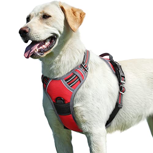 Eagloo Pettorina Cane Taglia Grande, Pettorina ad h Antifuga, Imbracatura per Cani Anti Tiro con Doppio Gancio, Imbracatura...
