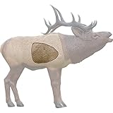 Rinehart Targets
