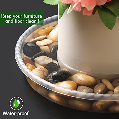 Supking Plant Saucers 6 8 10Inch 6 Packs Durable Clear Plastic Drip Tray Thicker Sturdier Plant Pot Saucers Stronger Flower Pot Tray For Indoors & Outdoors #TOP3