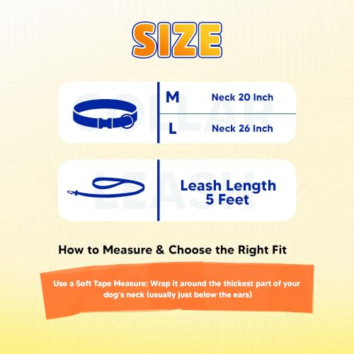 Image of Adil's Biothane Waterproof Dog Collar, Dog Leash & Collar Leash Combo | Heavy Duty TPU Coated Webbing | Adjustable Quick Release Buckle | Odour Resistant (Blue, M-18, Collar & Leash Combo)