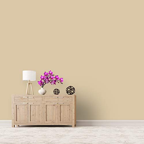 Montage Signature Interior/Exterior Eco-Friendly Paint, Navajo White, Low Sheen, 5 Gallon #TOP2