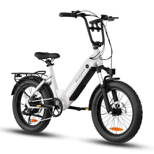 Bodywel Elektrofahrrad Für Erwachsene, E Bike Herren mit 48V 13Ah Batterie, 20 * 3.0 Zoll, LED-Display, 250W Motor & 25km/h E-Bikes Für Stadtpendler (weiß)