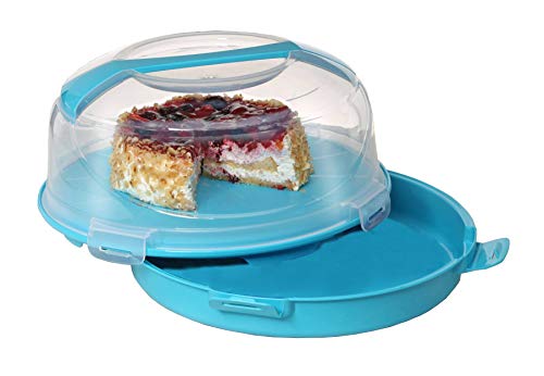 Bo Time Boite Eventail De Conservation Pour Gateau Le Meilleur Prix Dans Amazon Savemoney Es
