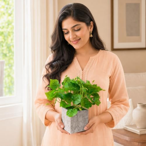 Image of fancymart Artificial Plant with Real-Touch Leaves in Pot, 25 cm, Indoor Tabletop Item for Home Decor, Office, Living Room