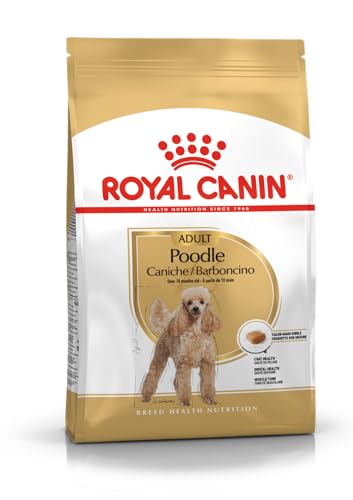 Royal Canin Poodle Adult | 3 kg | Sucha karma dla dorosłych pudli | Wspiera sierść i napięcie mięśniowe | Dla psów od 10 miesięcy