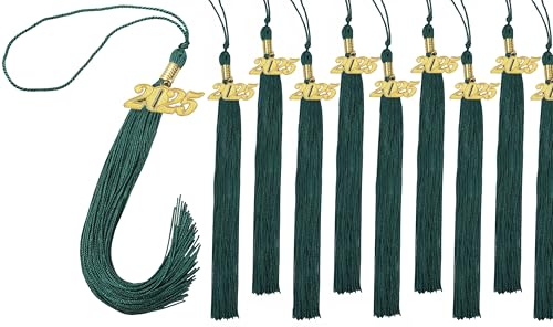 10 Pieces 2025 Graduation Tassel, Black Tassel 2025 with 2025 Year Gold Charms for Graduation Cap Tassel Charms for Graduate Hat Ceremonies Accessories