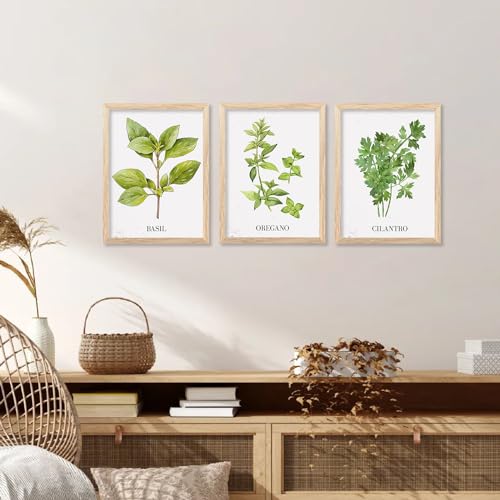 Image of kotart Kitchen Herbs Digital Painting for Restaurant Dinning Room Wall Decoration - Minimal Cooking Herbs Wall Art Prints for Kitchen Decor (13X17 INCH, D) Pack of 6