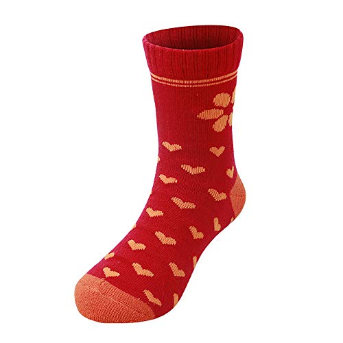 [PJ] Xm[{[h \bNX {[CY LbY C XL[\bNX K[Y hۉ RۖhL z qp H ~ X|[c jO oR XL[g[jO ^  