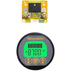 AiLi Voltímetro Amperímetro Medidor de corriente de voltaje 80V 50A Caravana RV Autocaravana Auto Car