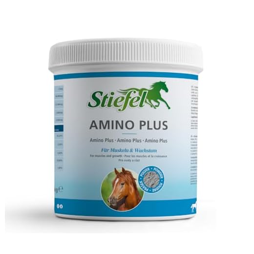Stiefel Amino Plus für Pferde