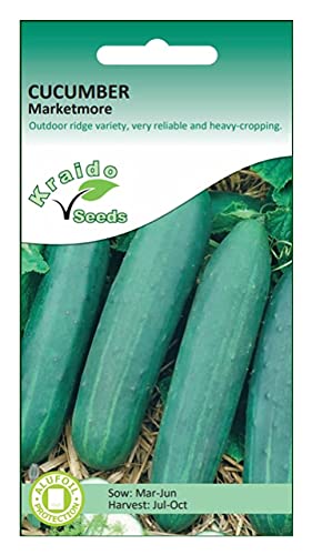 Cucumber Seeds Marketmore Cucumis Sativus 50 Seeds Standard Slicing Salad Cucumber Grow Your Own Vegetables Perfect for Greenhouse or Outdoor Growing